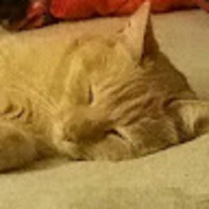 Meet your Posher, Sabrina